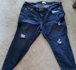 Lane Bryant Signature Skinny Flex Mid-Rise